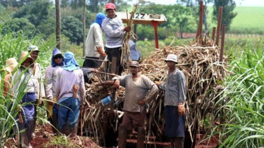 El pedido del sector azucarero al gobierno de Maduro tras destinar el 60% de las ganancias al pago de impuestos
